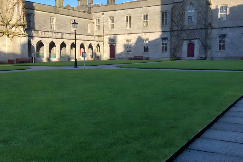 Galway-university-mla-27