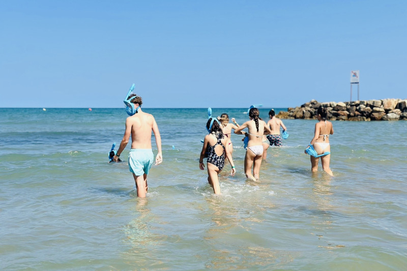 ccd4c06a-9788-406a-ac2c-0b5f821a52c6 copy