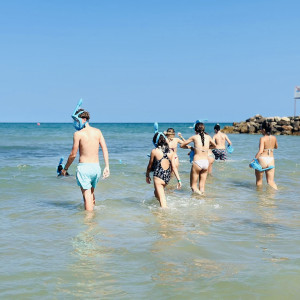 ccd4c06a-9788-406a-ac2c-0b5f821a52c6 copy