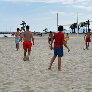 cbd4d33d-8b5b-4934-bc73-b8cbf2f8b9d6 copy