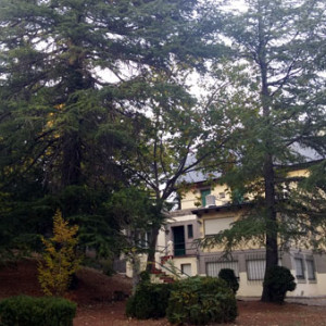 alojamiento-cercedilla-el-colladito