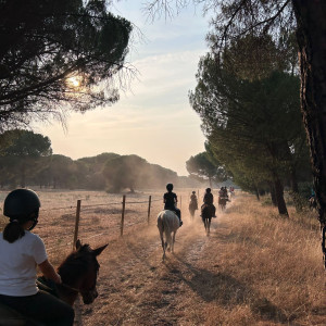 3ae7c26d-db94-4b79-849e-1b54885f115e