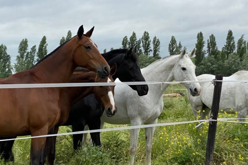 1f0f913f-d0be-463f-9d8b-13510b471c1c