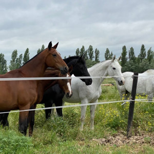 1f0f913f-d0be-463f-9d8b-13510b471c1c