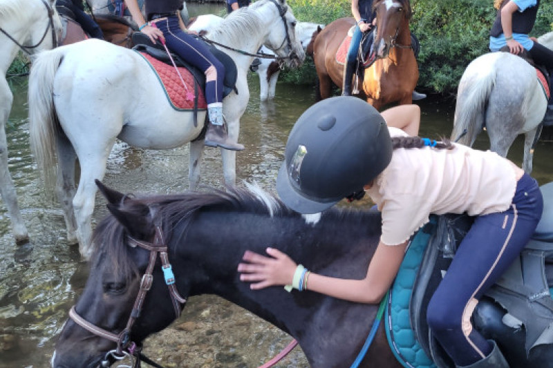 bde302b2e85a885df7810a10c2e15c8d1d27d02f-responsive