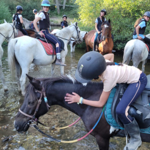 bde302b2e85a885df7810a10c2e15c8d1d27d02f-responsive