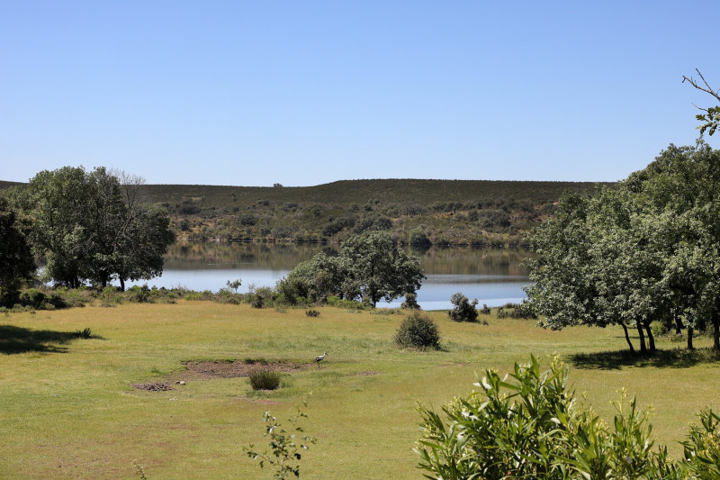 tatanka summer camp (2)