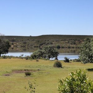 tatanka summer camp (2)