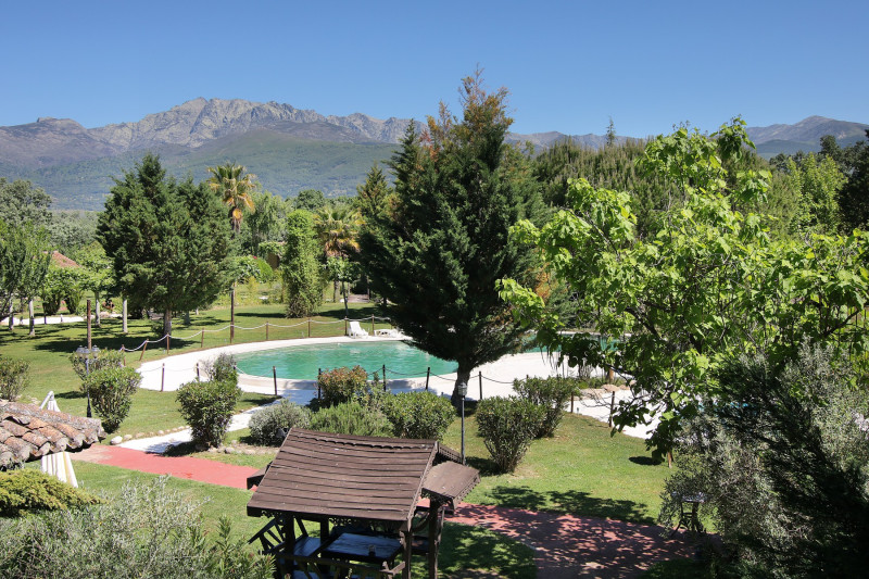 tatanka summer camp (3)