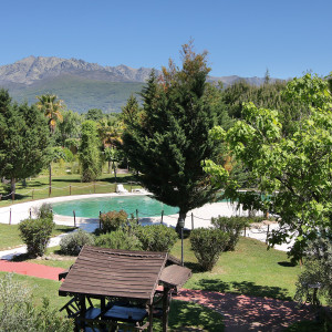 tatanka summer camp (3)