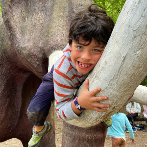 0E174611-A714-49E1-9E7F-9526E6F4C430