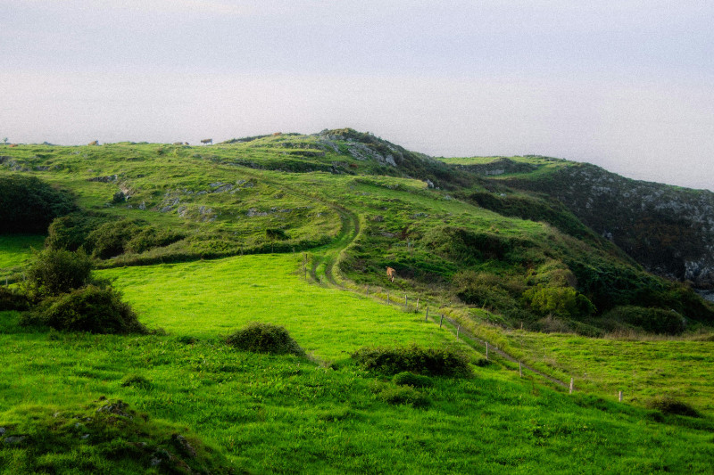 ASTURIAS ENTORNO (2)