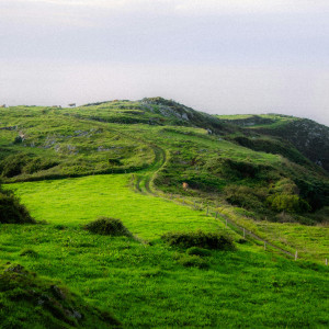 ASTURIAS ENTORNO (2)