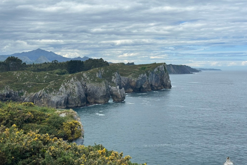 ASTURIAS BUFONES (2)