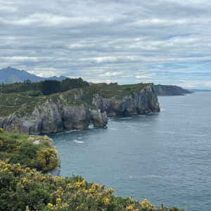 ASTURIAS BUFONES (2)