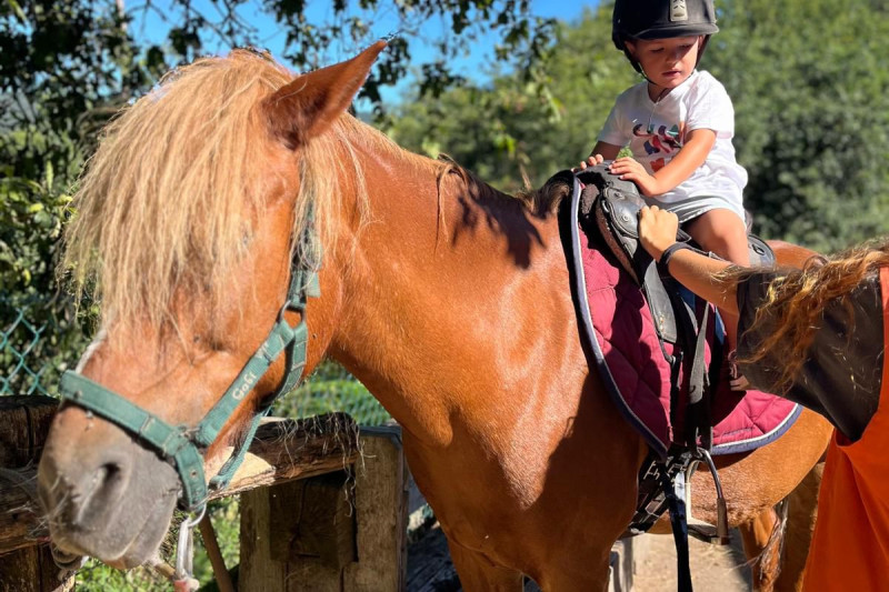 WhatsApp Image 2024-07-04 at 11.59.07