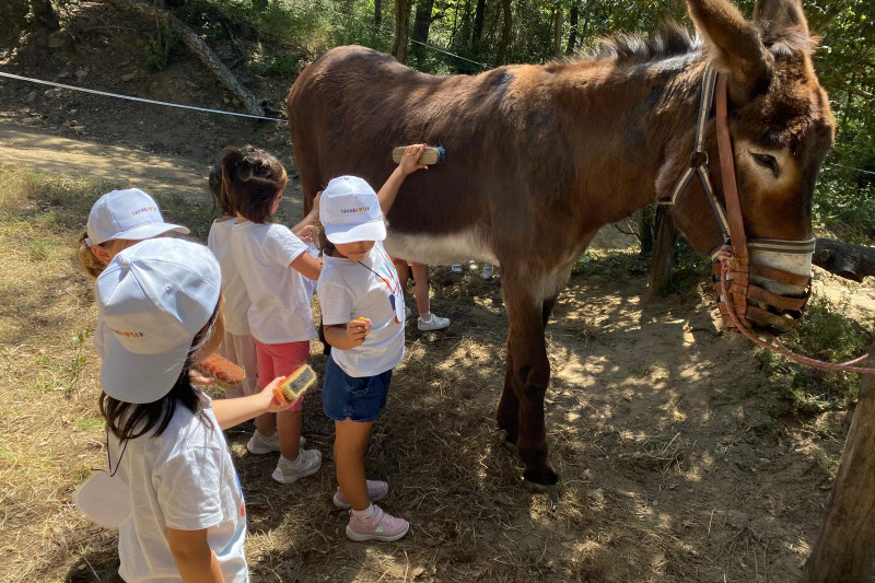 WhatsApp Image 2024-07-09 at 17.22.32