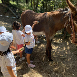 WhatsApp Image 2024-07-09 at 17.22.32