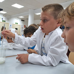 WhatsApp Image 2024-07-04 at 09.20.58