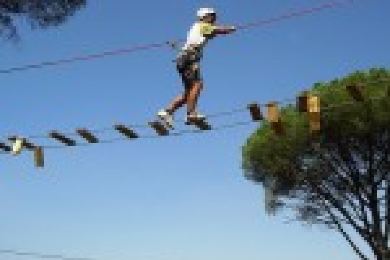 de-pino-a-pino-puente-de-tablas-150x150