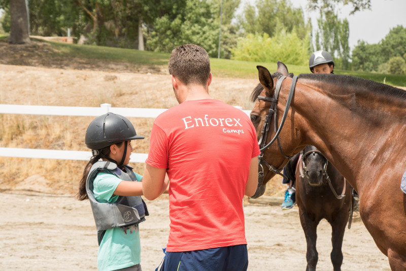 enforex_camp_madrid29