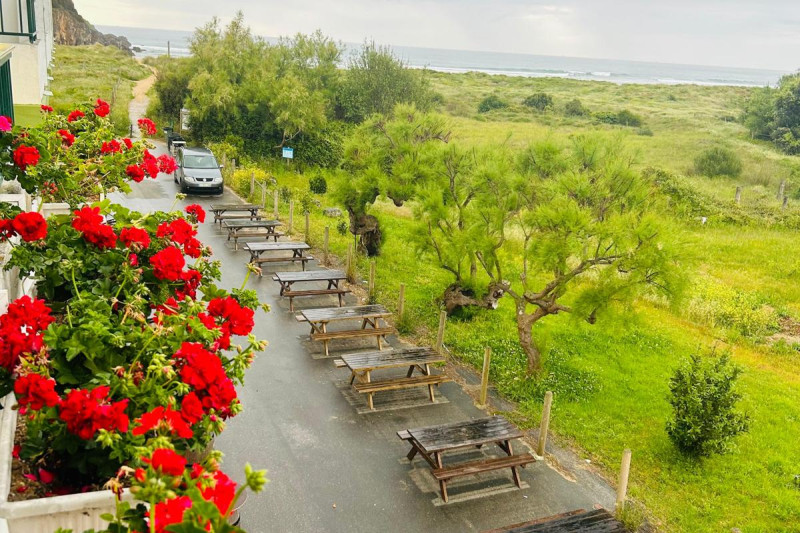Berria Terraza y geranios 1