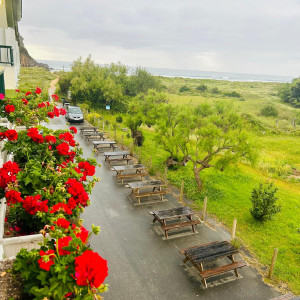 Berria Terraza y geranios 1