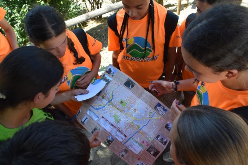 Shanguitos2025-T3 (72)