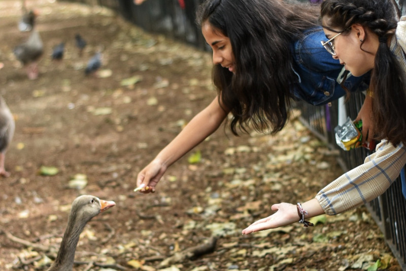 18 - Londres - Hyde Park