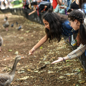 18 - Londres - Hyde Park
