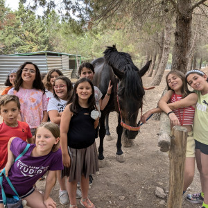 03 - La Casita - grupo caballo