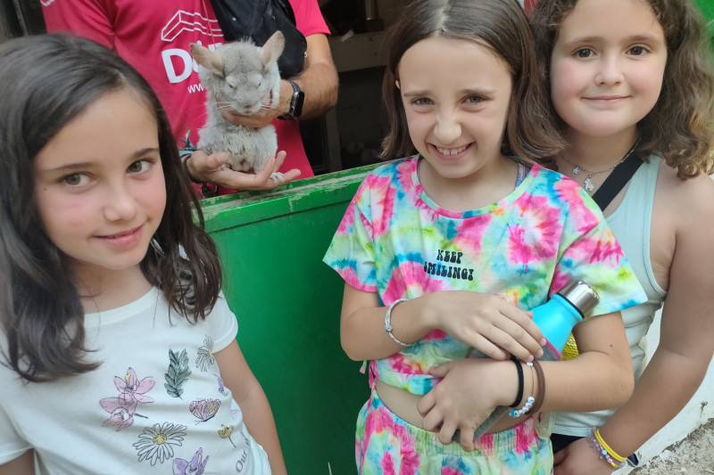 04 - La Casita - conejo