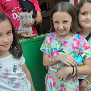 04 - La Casita - conejo