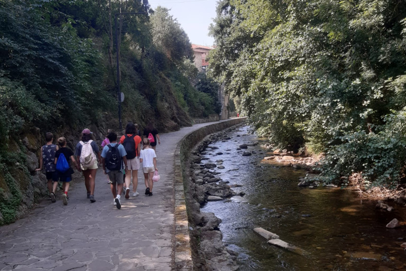 Potes