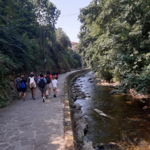 Potes