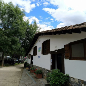 servicios 2